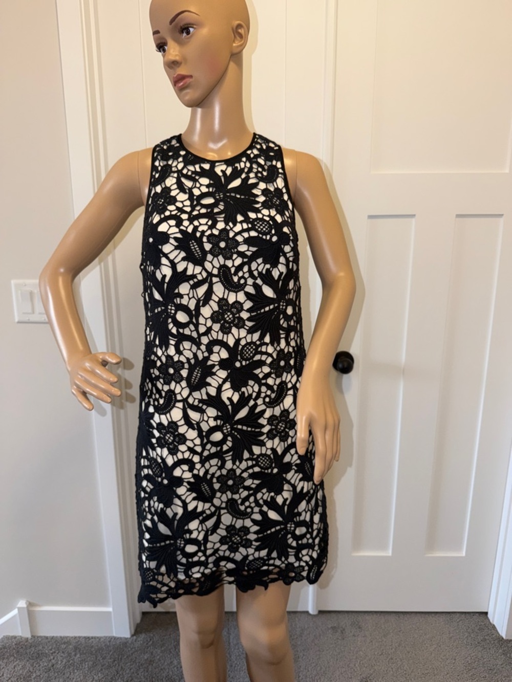 Banana Republic Black Lace Overlay Dress with Nude Lining